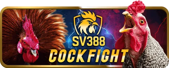 Vòng quay miễn phí 85bet